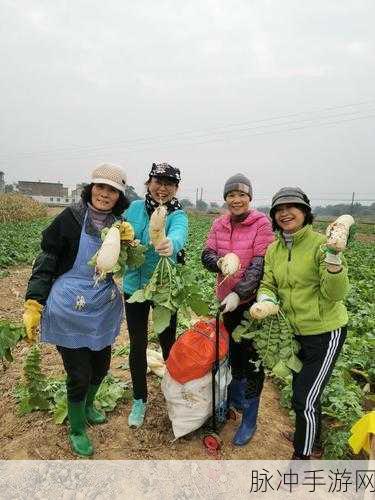 双人拔萝卜：携手共拔萝卜，友谊在欢笑中绽放