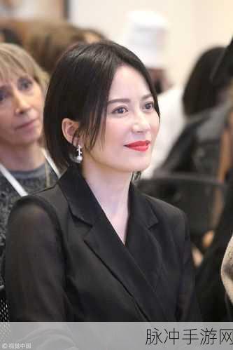 Chinese老女人老熟妇HD：成熟魅力：探索中国女性的生活与故事