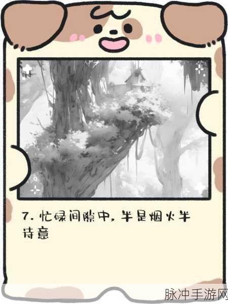 晶晶的极限训练日记：晶晶的极限训练日记：突破自我，追逐梦想的旅程