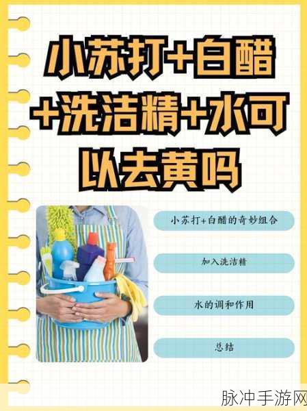 精产国品一二三区别9977：深入解析精产国品一二三区别9977的特点与发展潜力