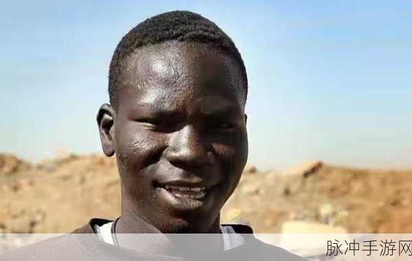 世界最大级の黒人：全球最大的黑人社区：文化、历史与发展探秘
