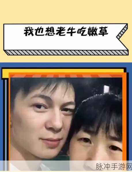 嫩草影视公司：嫩草影视公司：探索新视野，打造独特影像体验之旅