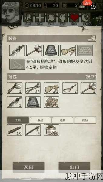 小游戏荒野日记孤岛兑换码最新：荒野日记孤岛最新兑换码分享与攻略秘籍