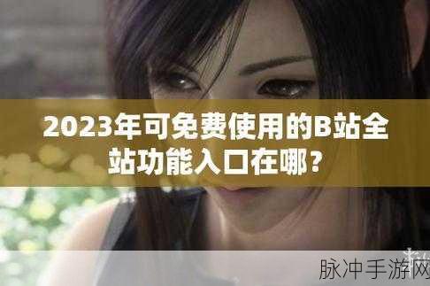2023年B站入口免费推广：2023年B站入口推广策略与免费方法全解析