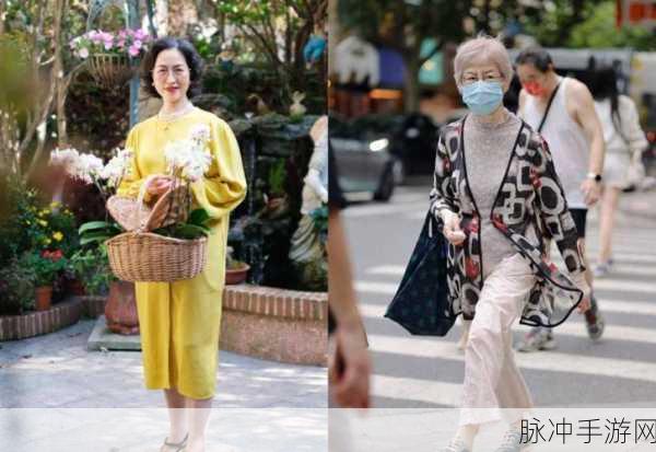 chinese老女人的mature类型：成熟魅力：揭示中国女性的智慧与优雅之美