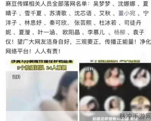 麻花豆传媒一二三产区观众群分析：深入分析麻花豆传媒一二三产区观众群体特征与需求