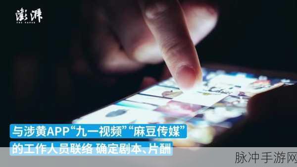 麻花豆传媒一二三产区观众群分析：深入分析麻花豆传媒一二三产区观众群体特征与需求