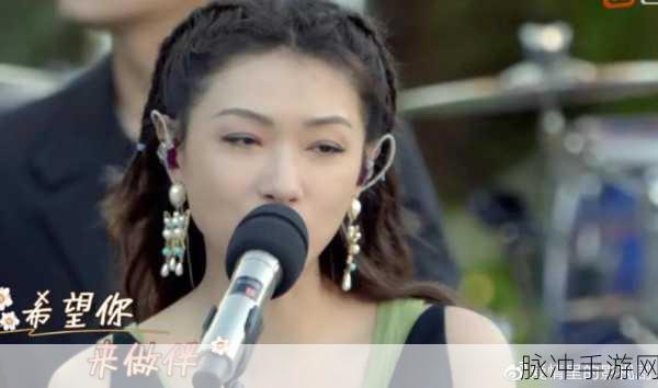 暴躁姐姐BGM：暴躁姐姐的旋律：情绪释放与心灵共鸣之旅