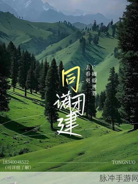 开始慢慢迎迎合：慢慢迎合，拓展新机遇，共创美好未来的旅程