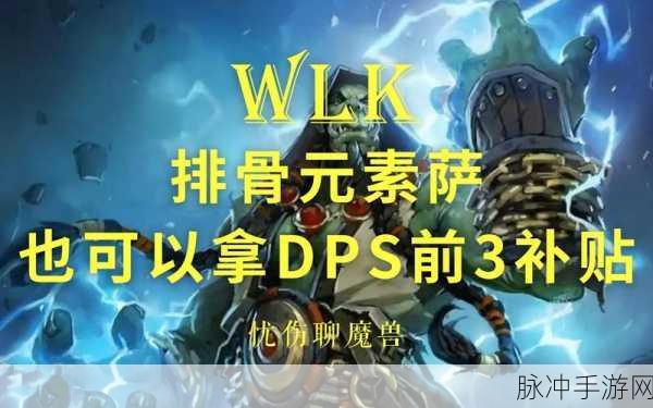 wlk元素萨怎么打高dps：提升WLK元素萨DPS的有效技巧与策略分享