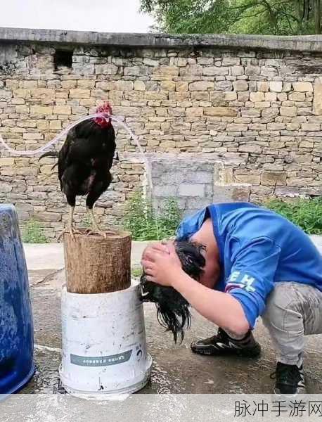 搞鸡他妈恶心十分钟软件：拓展搞鸡他妈恶心十分钟软件：让你意想不到的趣味体验