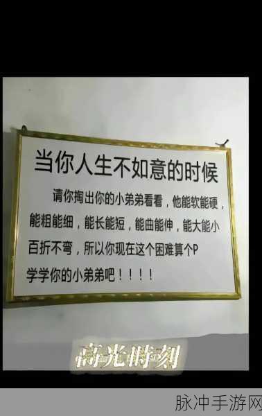 大开大合地动了起来：拓展大开大合，激情澎湃书写未来新篇章