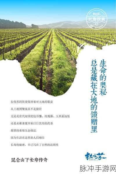 大地资源中文在线观看免费版：探索大地资源的奥秘与未来发展之路
