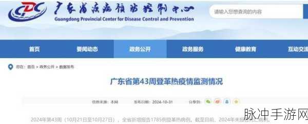 九一高风险安装包下载安装：安全提示：谨慎下载九一高风险安装包，避免数据丢失与病毒感染。