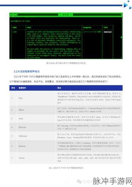 不良软件免费进入窗口2023：2023年不良软件免费进入窗口的风险与防范措施探讨