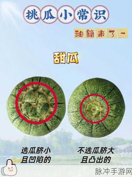 911红领巾吃瓜爆料今日大瓜在线：“红领巾热议911事件，今日大瓜在线全面解读！”