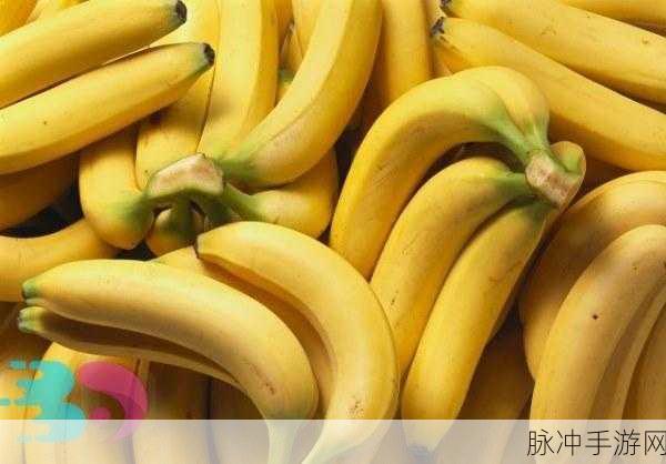麻豆精产一二三产区香蕉：拓展麻豆地区一二三产业香蕉种植及其市场前景分析