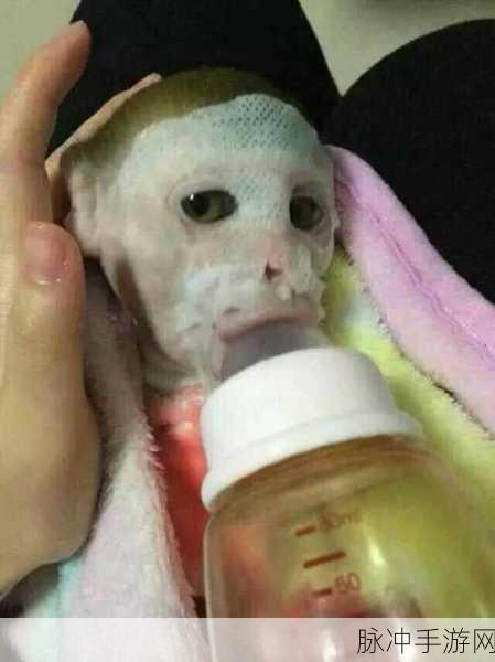 一边亲着一面膜下奶直接看的好处：亲吻与面膜双重护理，助力乳汁分泌的独特优势