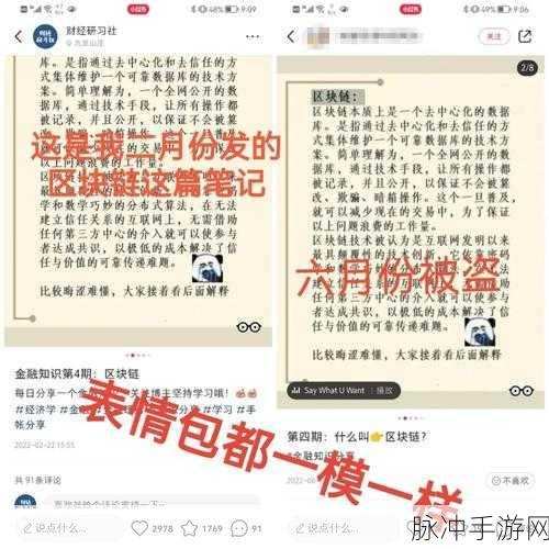99国偷自偷产品：“99国巧妙盗用他国产品发展自主品牌新策略”