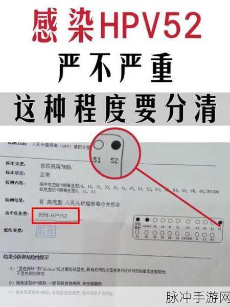 52g我爱搞：52g我爱搞：探索新趣味与创意的无限可能