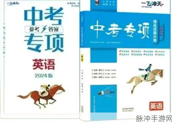 暴躁老阿姨CSGO通关攻略：全面解析暴躁老阿姨在CSGO中的通关技巧与经验