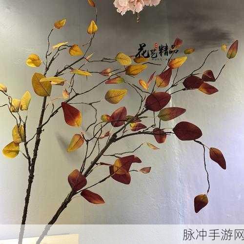 精乐影视：“精乐影视：带你领略无限视听盛宴与精彩故事”