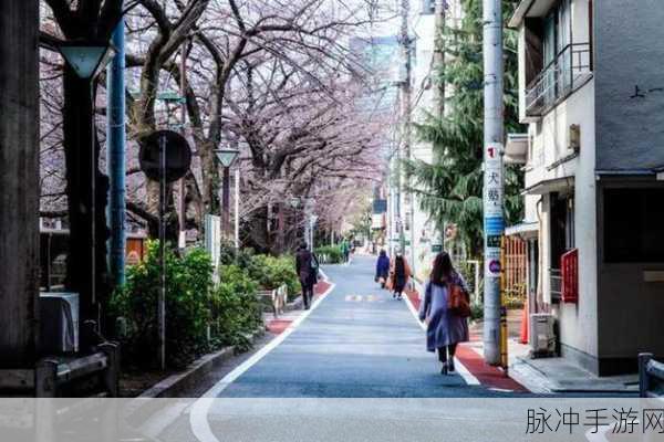 日本一二免费：日本一二免费：畅游东京与京都的绝佳体验指南