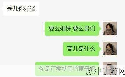 暴躁哥暴躁姐：暴躁哥与暴躁姐的幽默日常：生活中的笑与泪