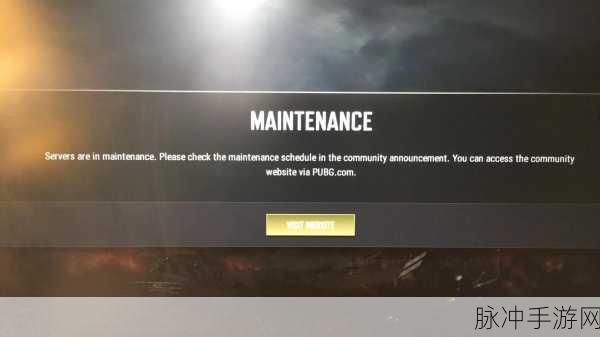 PUBG最新更新：PUBG全新更新：引入激烈战斗与创新玩法的新时代