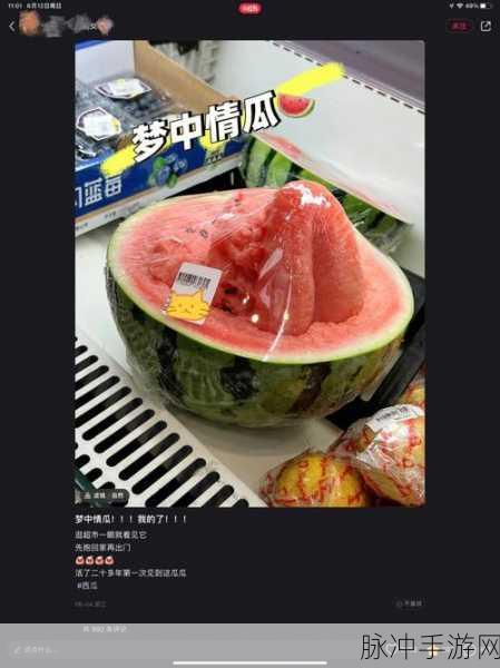 17吃瓜群众网站：17吃瓜群众：分享有趣热点，畅谈生活百态的新平台