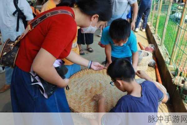 两个人如何拔萝卜生孩子软件户外：两人携手拔萝卜，共创幸福家庭生活新篇章