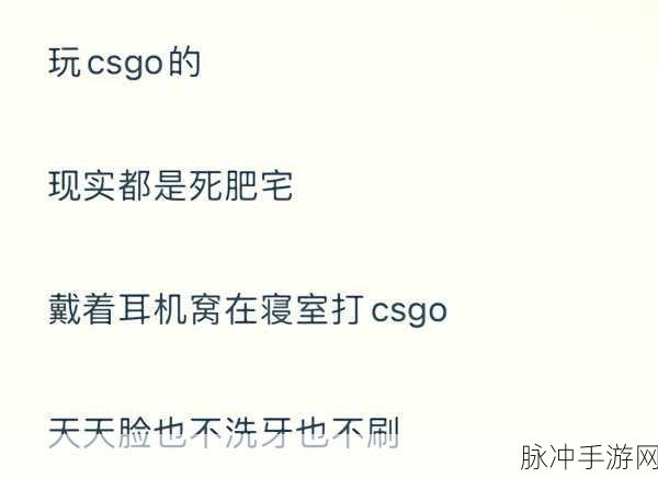 csgo暴躁小阿姨最佳搭配：打造CSGO暴躁小阿姨的完美搭配攻略与技巧