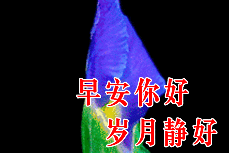 免费行情网站大全搜狐网视频：全面盘点各大免费行情网站，助你获取最新市场动态！