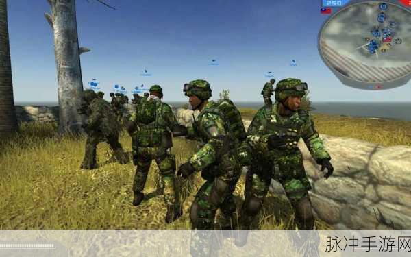 战地2联机平台：战地2重燃激情：全新联机平台开启精彩对决