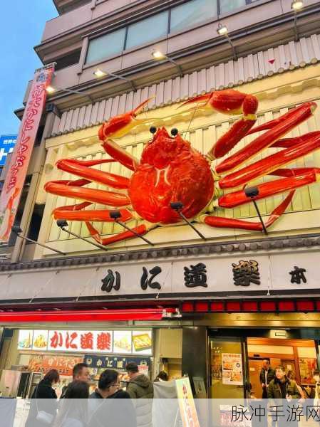 国产一品道：国产一品道：传承与创新交融的经典美食之旅