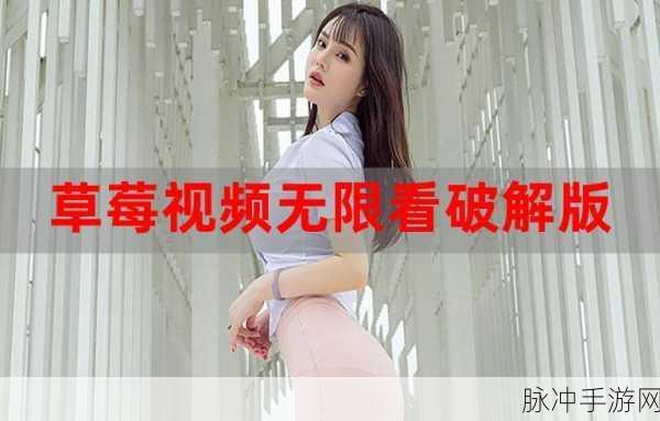 草莓视频永久无限破解版：全新升级的草莓视频永久无限破解版，畅享无阻观看体验！