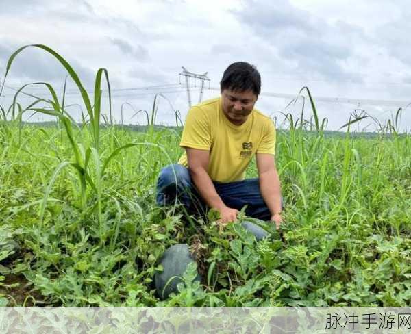 91吃瓜吃瓜有理爆料无罪：吃瓜群众有理，爆料无罪，共同维护真相！