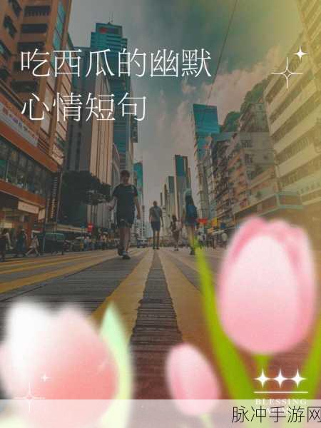 。51 吃瓜：“围观娱乐圈八卦，畅聊最新吃瓜趣事！”