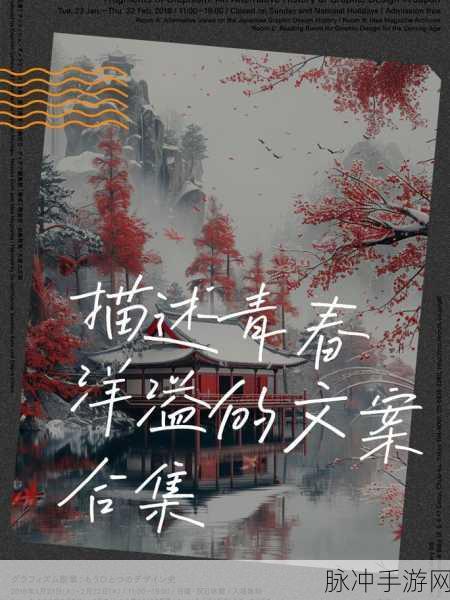 十八岁的网战：青春激荡：十八岁网战的热血与梦想