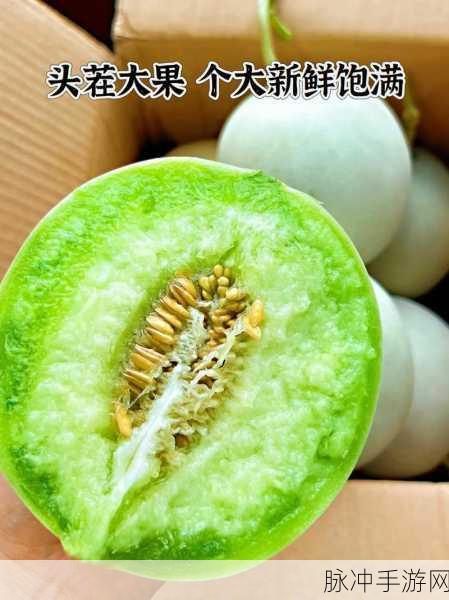 黑料吃瓜蘑菇视频：揭秘黑料：吃瓜蘑菇视频背后的真相与故事