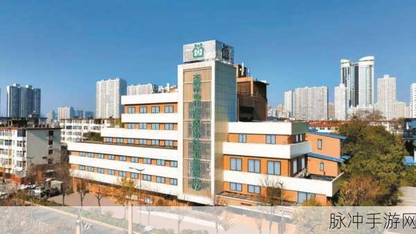 国精产品一二二区三区仙踪林：拓宽国精产品的市场布局，打造一二三区仙踪林新形象
