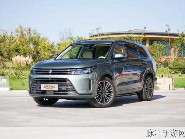 国精产品一二二区三区仙踪林：拓宽国精产品的市场布局，打造一二三区仙踪林新形象