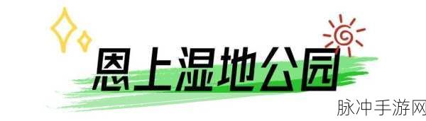 搞time恶心的软件不用不收钱网站丷：免费获取无恶心软件的实用网站推荐，畅享快乐时光！