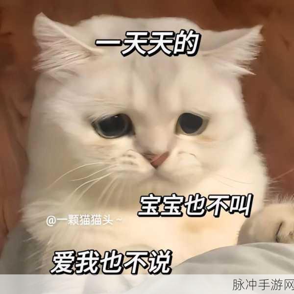 我爱搞52：我热爱搞笑52，乐享生活每一天！