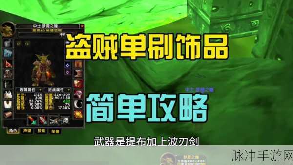 乌龟服盗贼输出手法：提升乌龟服盗贼输出技巧，掌握全新战斗策略