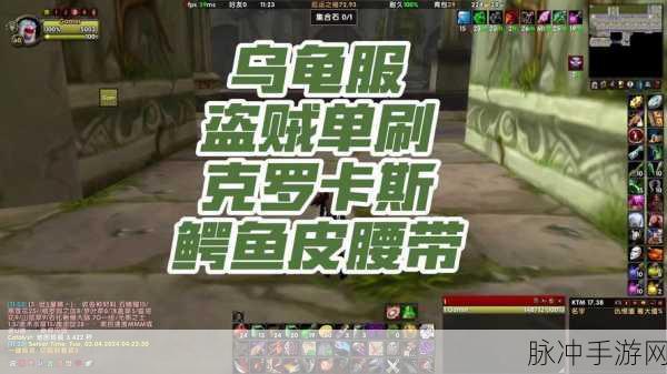乌龟服盗贼输出手法：提升乌龟服盗贼输出技巧，掌握全新战斗策略