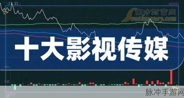 麻花传媒ceo：麻花传媒CEO拓展业务新方向，推动影视行业创新发展