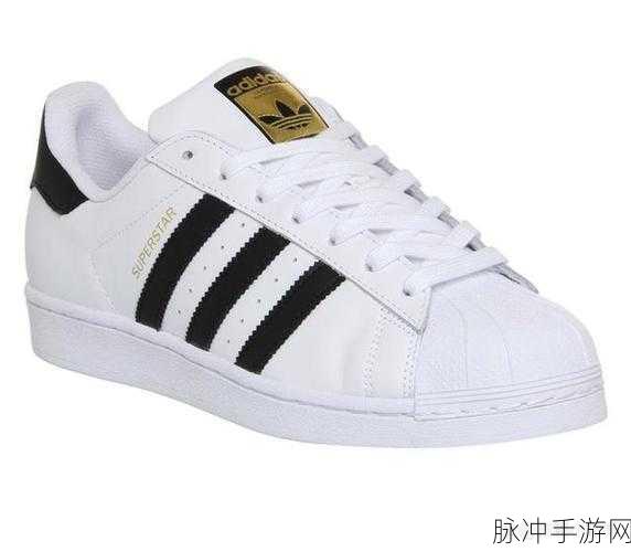 三叶草欧码和亚码入口：“全面解析三叶草欧码与亚码的拓展入口及应用”