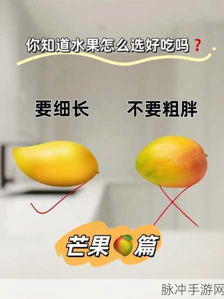 三叶草亚洲码和欧洲码区别水果：探索三叶草亚洲码与欧洲码的水果区别及应用