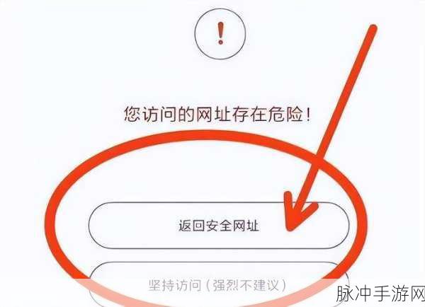 不良网站下载安装：警惕下载不良网站应用程序，保护个人信息安全！